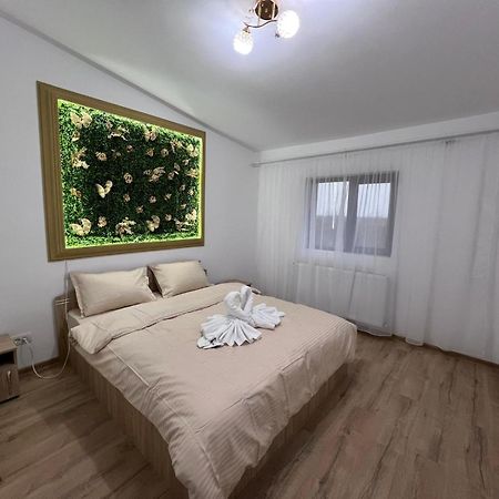 Casa Privata Airport Bucharest Therme Bucharest Balotesti Dış mekan fotoğraf
